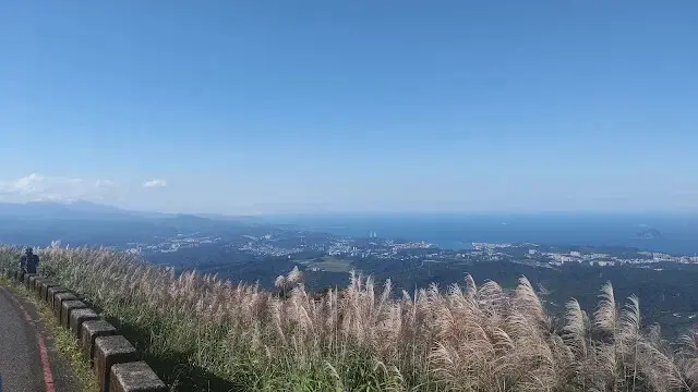 五分山氣象雷達站 - 芒草