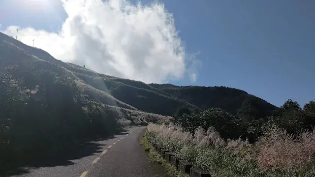 五分山氣象雷達站 - 芒草