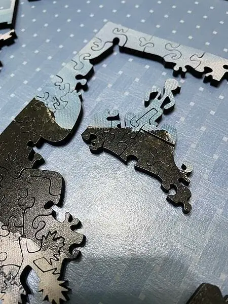 ⭐️⭐️開箱⭐️⭐️｜PIXNET大試用時代X海裡魚木質拼圖