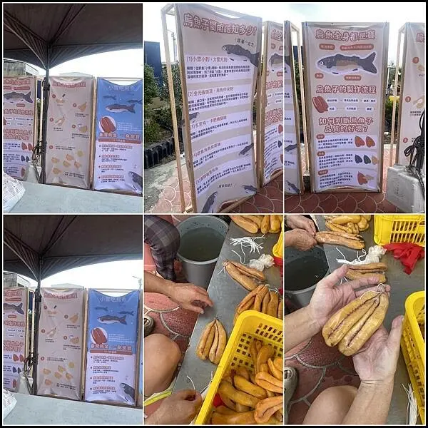 【雲林一日遊推薦】 雲林縣口湖鄉蚵寮社區三寶節活動,☑不間斷