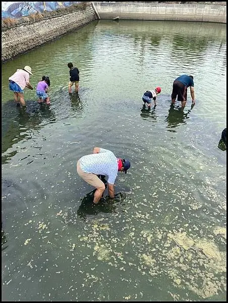【雲林一日遊推薦】 雲林縣口湖鄉蚵寮社區三寶節活動,☑不間斷