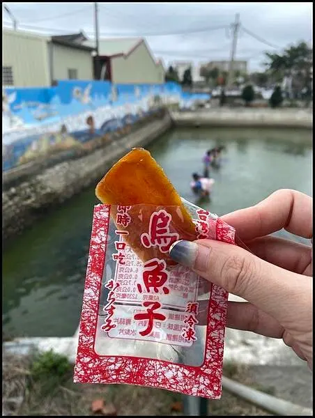 【雲林一日遊推薦】 雲林縣口湖鄉蚵寮社區三寶節活動,☑不間斷