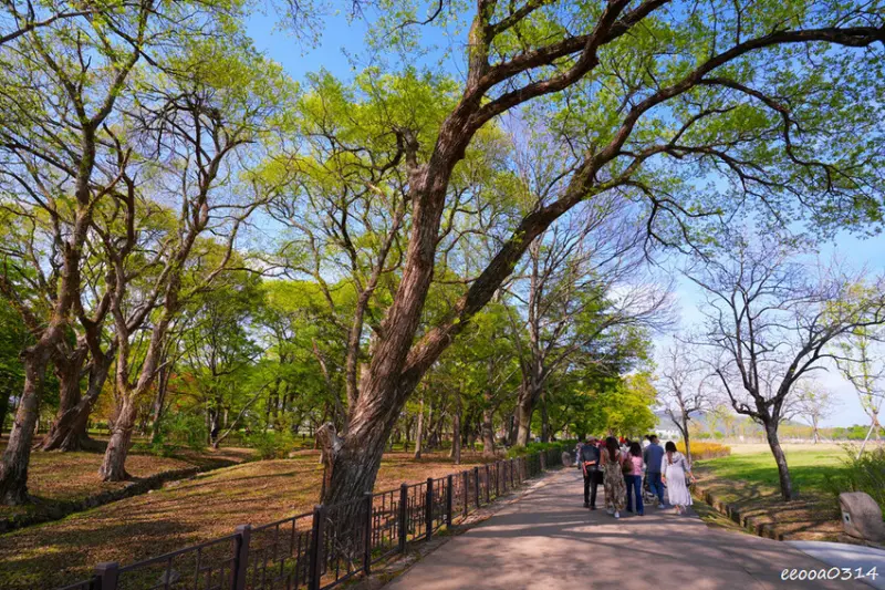 釜山旅遊「校村崔氏古宅」， 韓屋造型星巴克大陵苑店、順遊瞻星