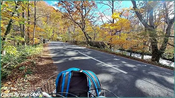 《奧入瀨溪流》2024/10日本之旅第一部曲/騎單車在奧入瀬