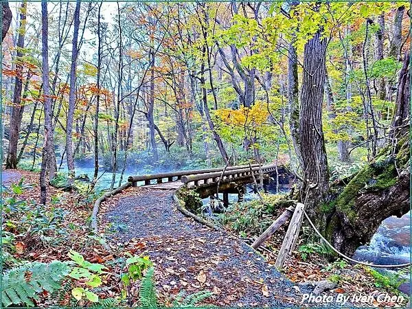 《奧入瀨溪流》2024/10日本之旅第一部曲/騎單車遊「奧入