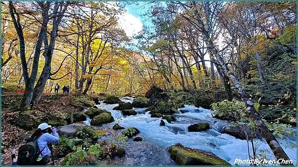 《奧入瀨溪流》2024/10日本之旅第一部曲/騎單車遊「奧入