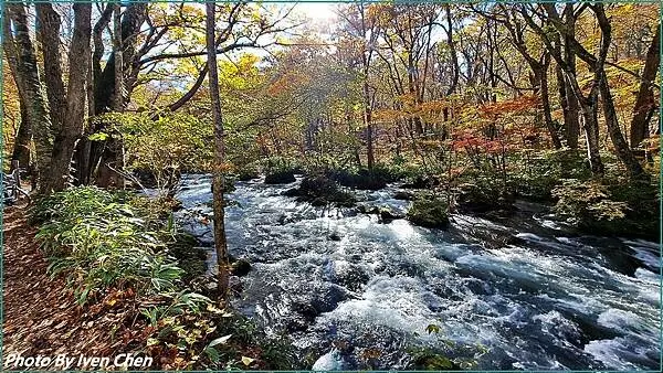 《奧入瀨溪流》2024/10日本之旅第一部曲/騎單車在奧入瀬