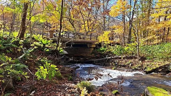 《奧入瀨溪流》2024/10日本之旅第一部曲/騎單車遊「奧入