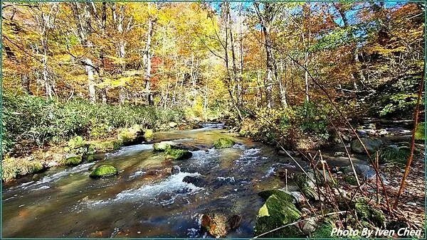 《奧入瀨溪流》2024/10日本之旅第一部曲/騎單車遊「奧入