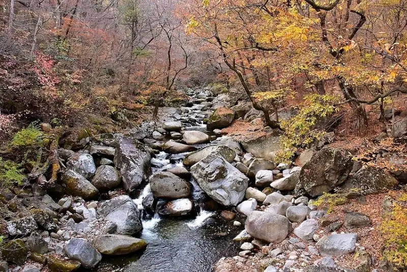 【伽倻山海印寺】溪谷