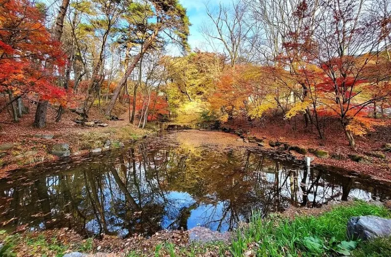 【伽倻山海印寺】楓紅