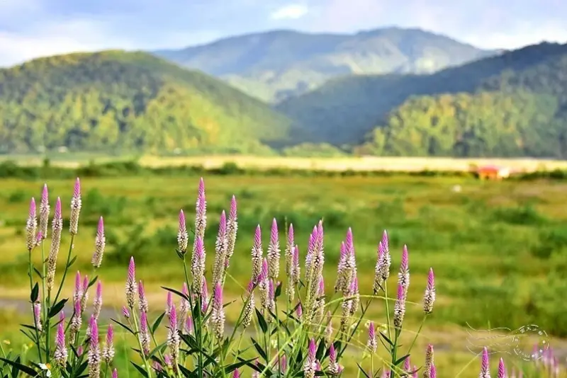 宜蘭台7甲線風光