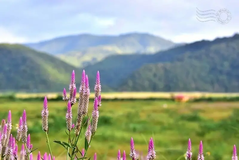 宜蘭台7甲線風光