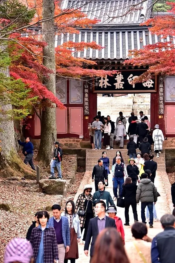 【伽倻山海印寺】