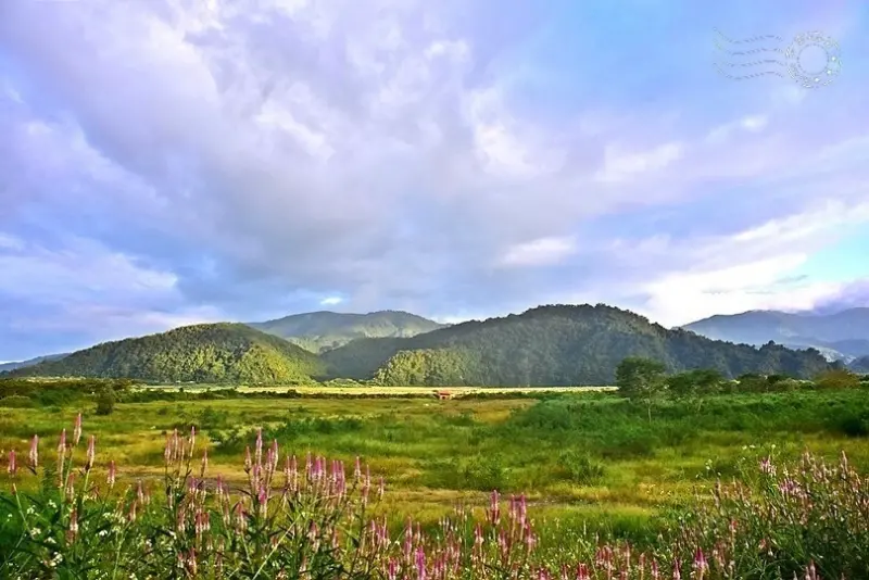 宜蘭台7甲線風光