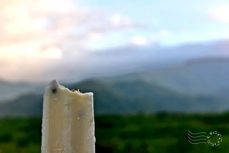 宜蘭茶之鄉休閒民宿冰棒