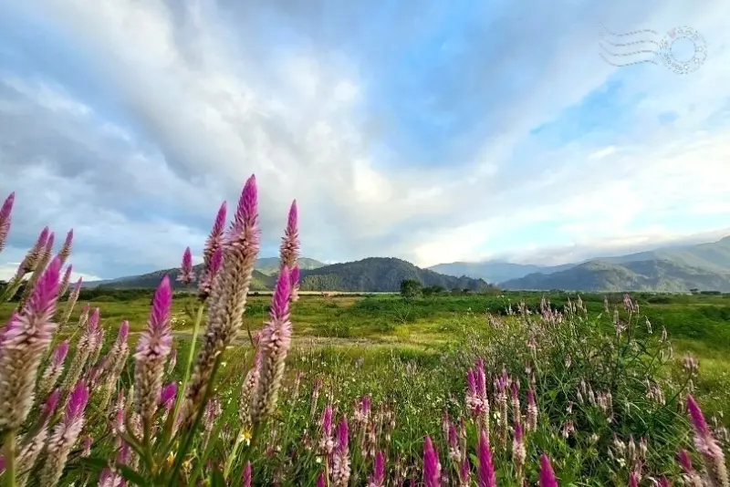 宜蘭台7甲線風光