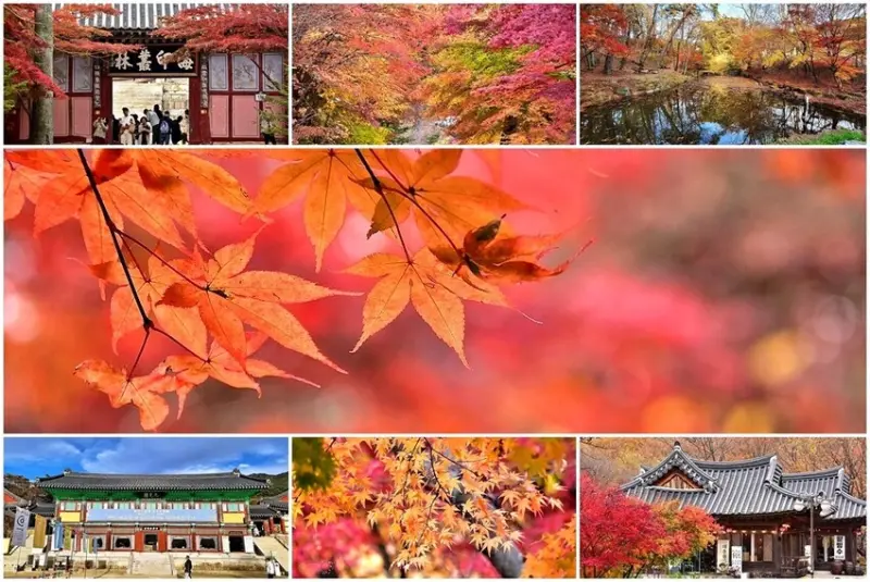 慶尚南道【伽倻山海印寺】