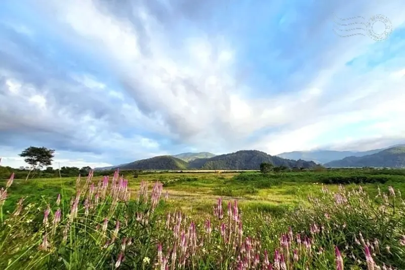 宜蘭台7甲線風光