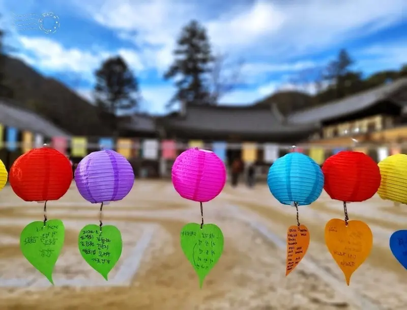 【伽倻山海印寺】