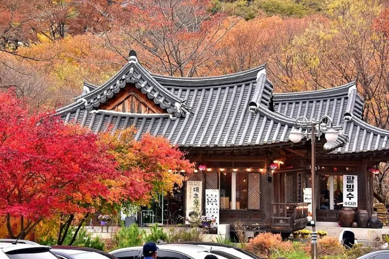 【伽倻山海印寺】楓紅