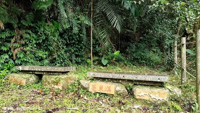 2024苗栗蓬萊溪護魚步道，天涼好個秋踏青趣｜南庄老街➯桂花