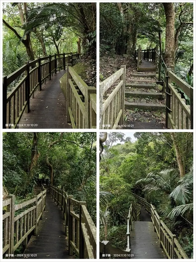 2024苗栗蓬萊溪護魚步道，天涼好個秋踏青趣｜南庄老街➯桂花