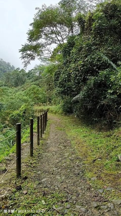 2024苗栗蓬萊溪護魚步道，天涼好個秋踏青趣｜南庄老街➯桂花
