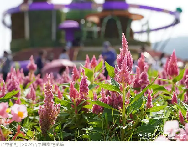 2024台中國際花毯節-42.jpg