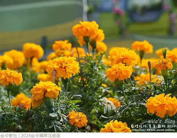 2024台中國際花毯節-37.jpg