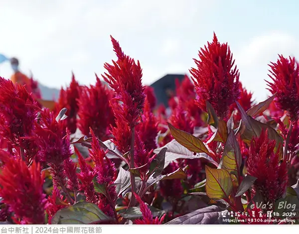 2024台中國際花毯節-38.jpg