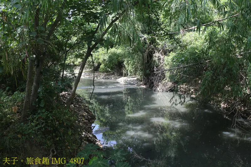 哈赫拿爾森林公園 水岸秘境 遠離都會塵囂 森湖溪
