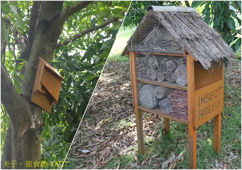哈赫拿爾森林公園 水岸秘境 遠離都會塵囂 森湖溪