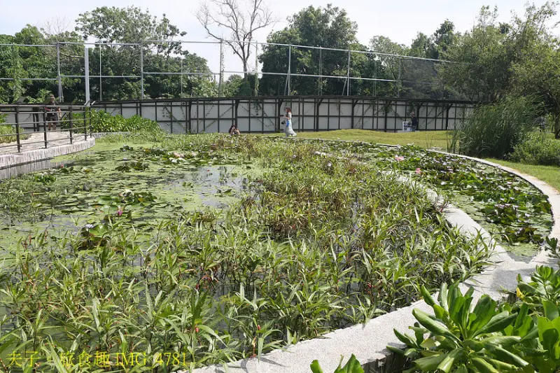 哈赫拿爾森林公園 水岸秘境 遠離都會塵囂 森湖溪