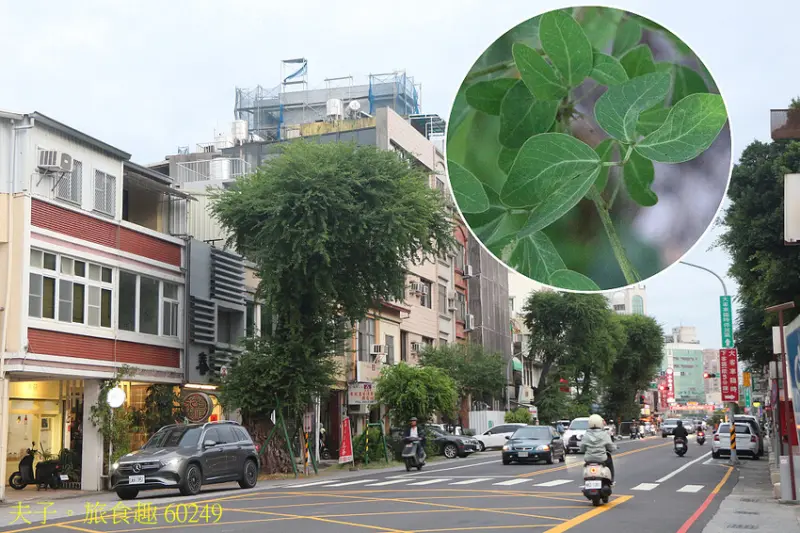 台南市立博物館 五大亮點 深入了解明鄭文化史