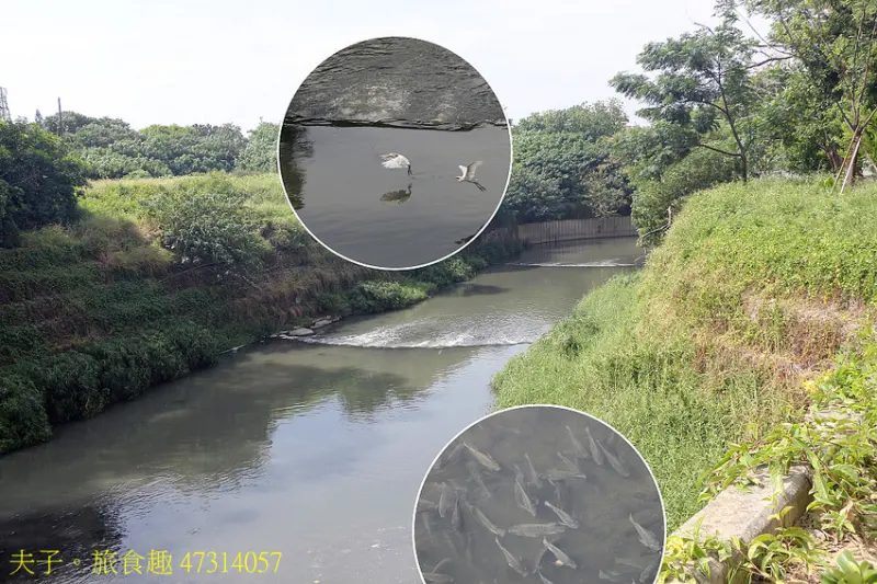 哈赫拿爾森林公園 水岸秘境 遠離都會塵囂 森湖溪