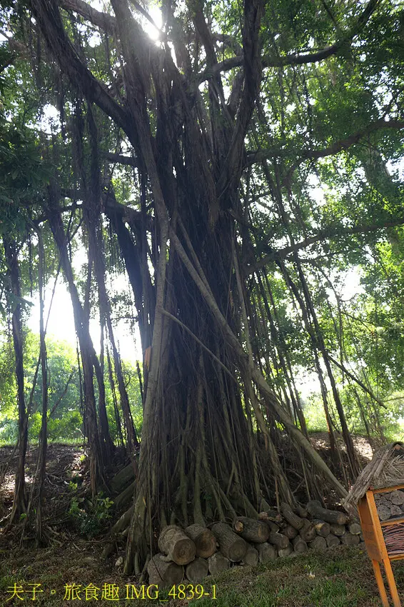 哈赫拿爾森林公園 水岸秘境 遠離都會塵囂 森湖溪