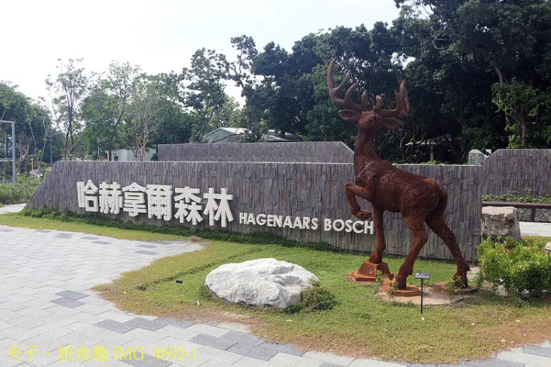 哈赫拿爾森林公園 水岸秘境 遠離都會塵囂 森湖溪