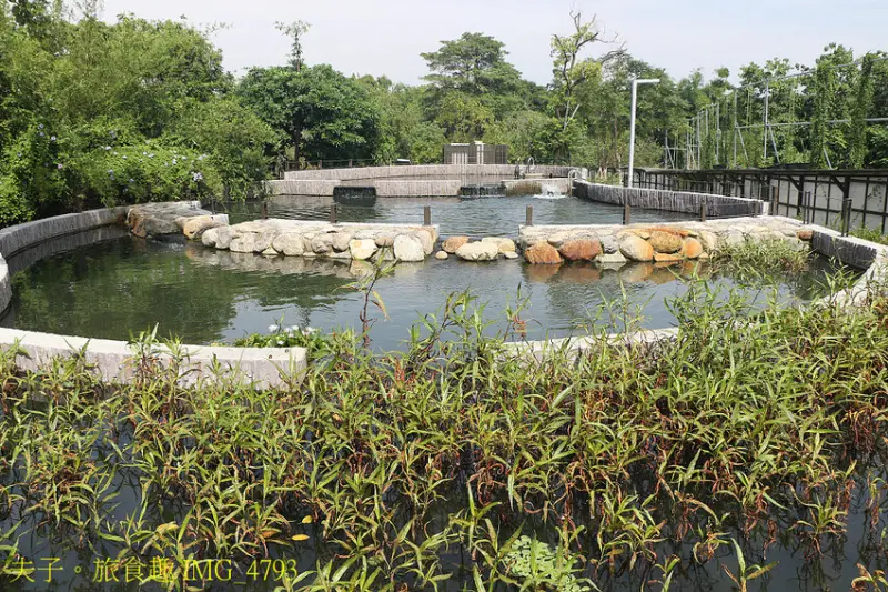 哈赫拿爾森林公園 水岸秘境 遠離都會塵囂 森湖溪