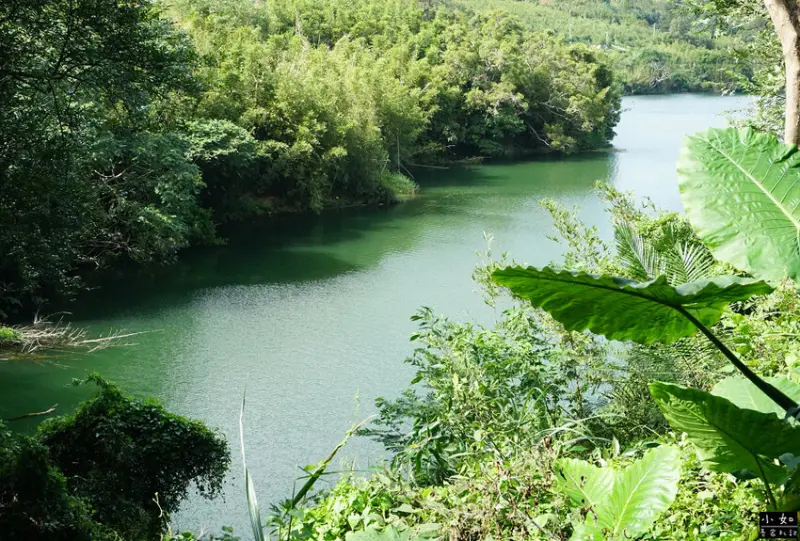 【寶山步道】寶山水庫環湖步道,寶湖,碧湖吊橋,o型走一圈！