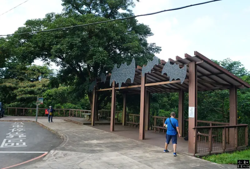 【復興步道】觀音洞步道南口,走到蝙蝠洞步道,瀑布,免門票景點