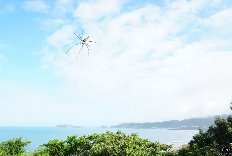 【金山步道】燭臺雙嶼,獅頭山步道,公園,神秘海岸,一線天,o