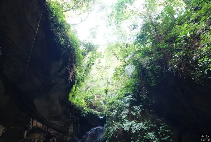【復興步道】觀音洞步道南口,走到蝙蝠洞步道,瀑布,免門票景點