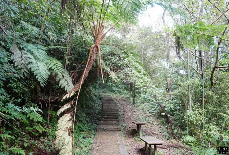 【復興步道】觀音洞步道南口,走到蝙蝠洞步道,瀑布,免門票景點