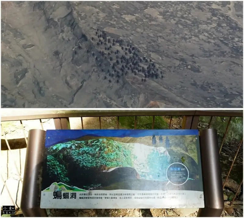 【復興步道】觀音洞步道南口,走到蝙蝠洞步道,瀑布,免門票景點