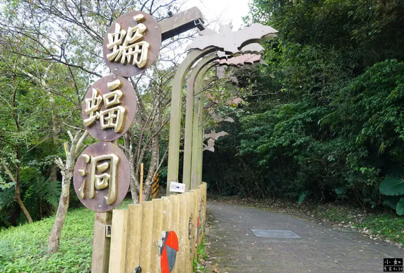 【復興步道】觀音洞步道南口,走到蝙蝠洞步道,瀑布,免門票景點