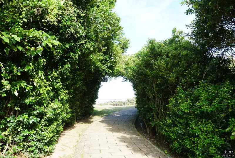 【金山步道】燭臺雙嶼,獅頭山步道,公園,神秘海岸,一線天,o