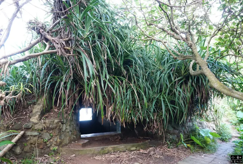 【金山步道】燭臺雙嶼,獅頭山步道,公園,神秘海岸,一線天,o