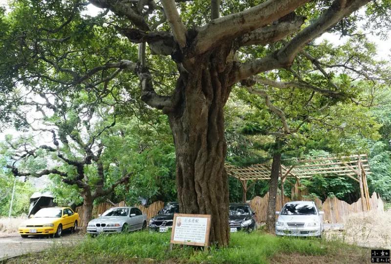 【湖口步道】湖口老街周圍步道,看戰車,天主堂,漢卿.仁和.金