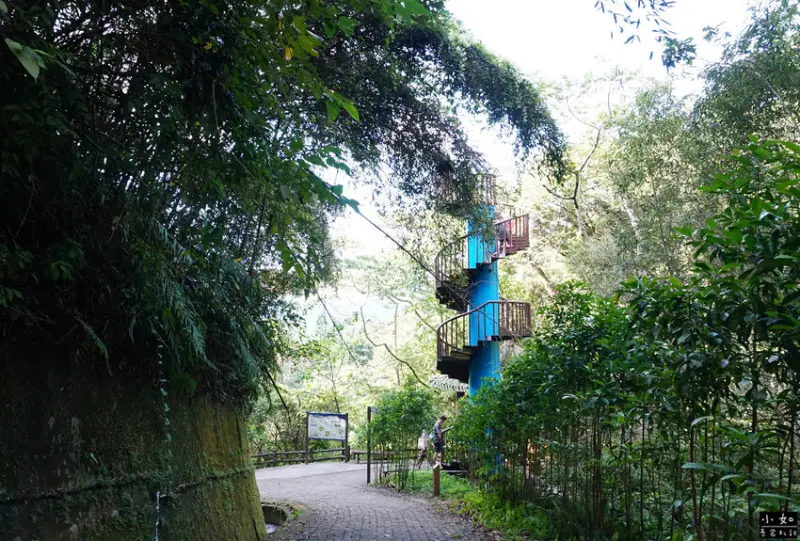 【復興步道】觀音洞步道南口,走到蝙蝠洞步道,瀑布,免門票景點